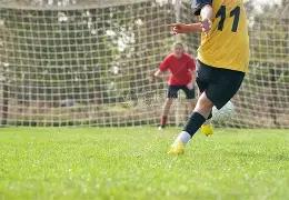 伊布表态,分享黑白儿,童亲密互动,MG娱乐官网,MG百家乐,MG视讯平台,MG电子游戏,MG体育电竞,MG棋牌彩票