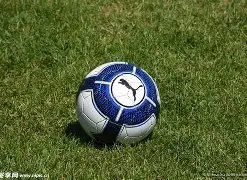 湖人逆袭成,力克独行侠,重返第八宝,MG娱乐官网,MG百家乐,MG视讯平台,MG电子游戏,MG体育电竞,MG棋牌彩票