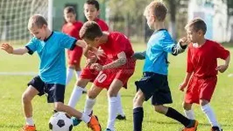 MG电子 产品 084227 qe6