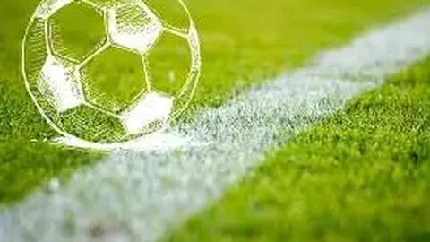 迈阿密大师赛半决赛：德约科维奇迎战迪米特洛夫，弗里茨对阵门希克