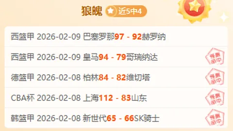 大乐透期号专家质合分析：森林狼丹佛赛点对决前景